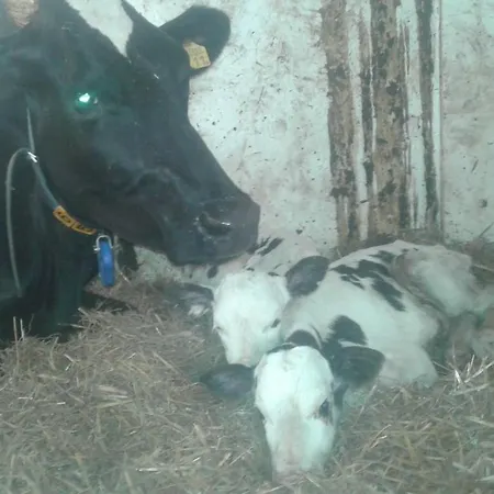 Couette-café Arken Ae *