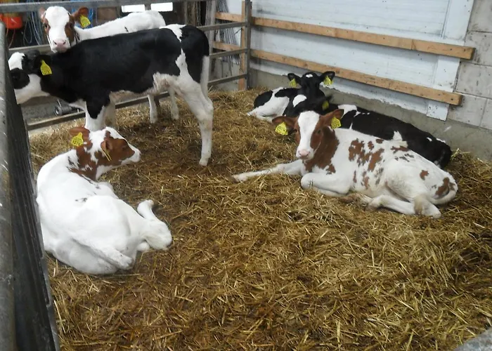 Arken Ae Zuiderwoude